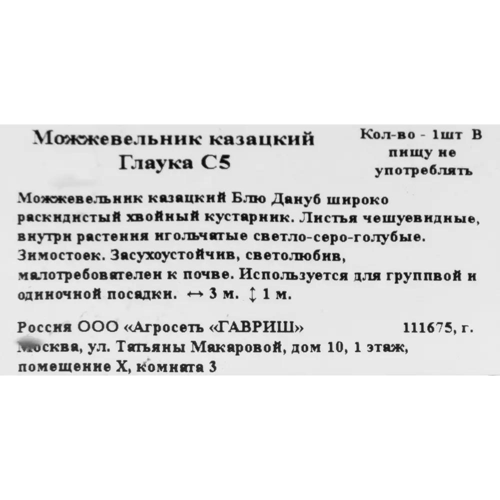 Можжевельник казацкий «Глаука» C5 ГАВРИШ STLM-2139312 - Вид №1
