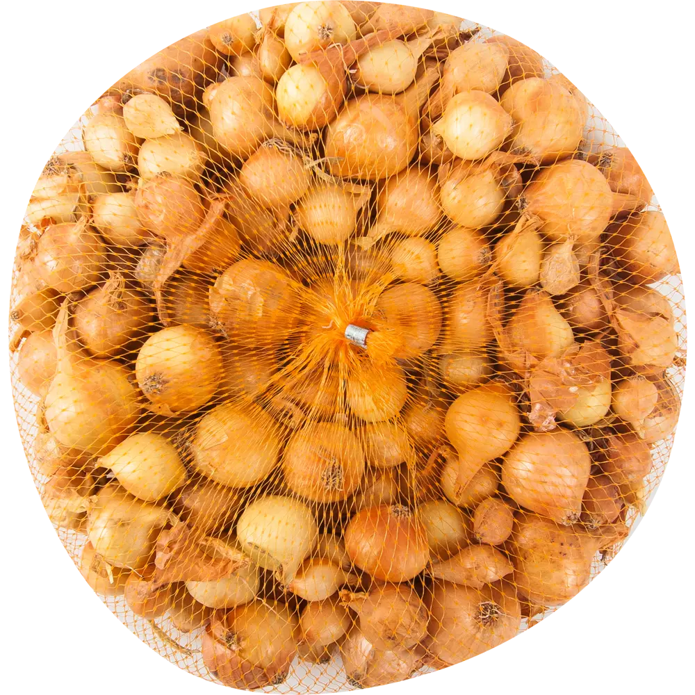 Лук-севок Штуттгартер 10/21 0.35 кг Santreyd STLM-2168548