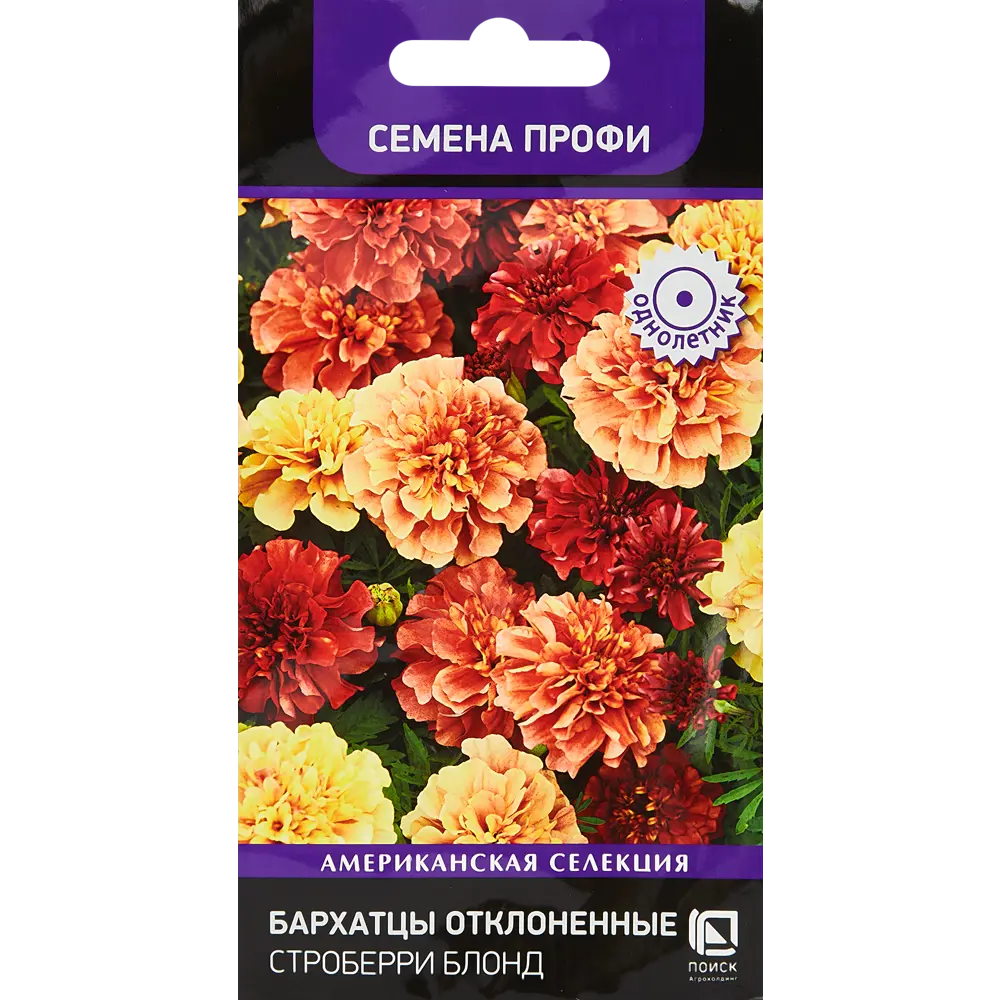 Семена цветов Поиск бархатцы отклоненные Строберри блонд 10 шт. 86218059 STLM-2116684 
