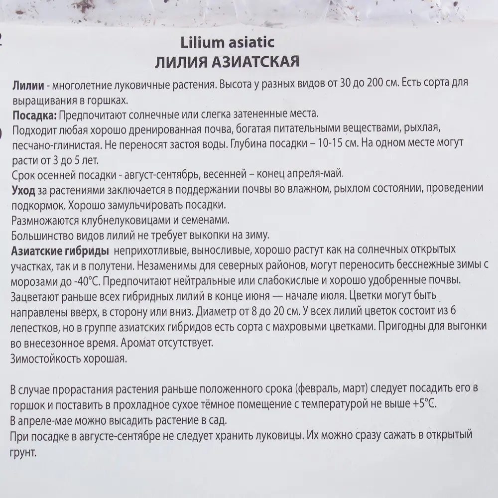 Santreyd Лилия азиатская «Ориндж Электрик» - яркий многолетник для сада 81945463 STLM-1422712 - Вид №2