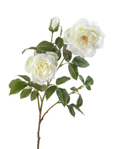 30.0614171WH Роза Эльфе белая ветвь Цветочная коллекция