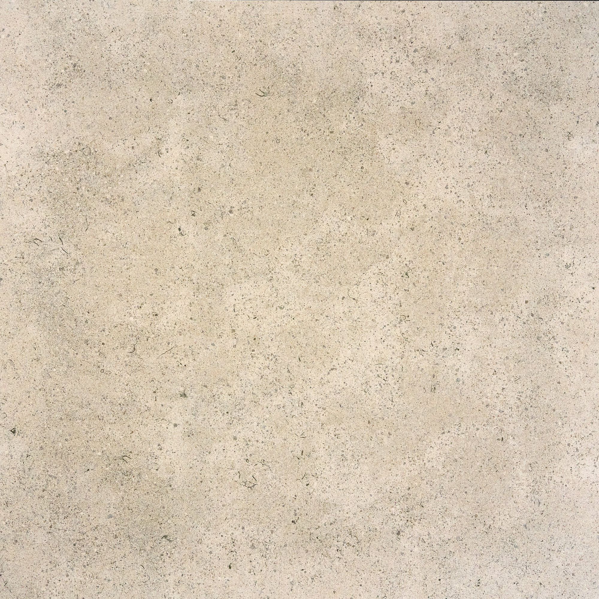 Керамогранит / напольное покрытие ARIOSTEA ELEMENTAE FULL BODY ARCH-00037450 - Вид №10