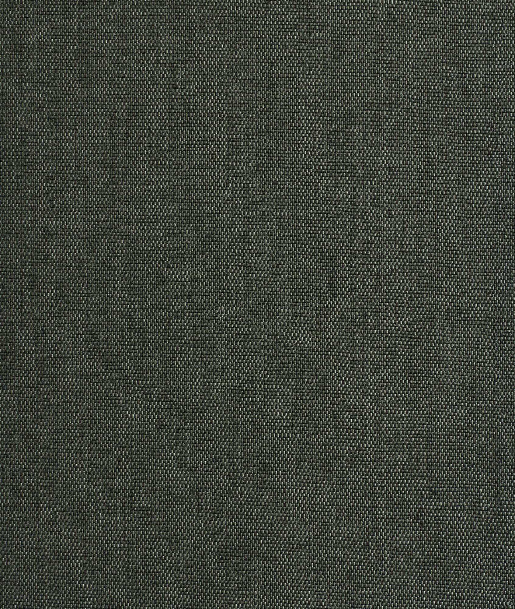 Ткань / обои Dedar Didgeridoo ARCH-00106079 - Вид №1