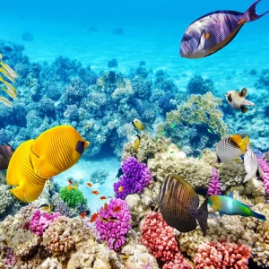 Фотообои флизелиновые Подводный мир 200x200 см