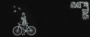Blak &White Dec.Bike Negro 25х60