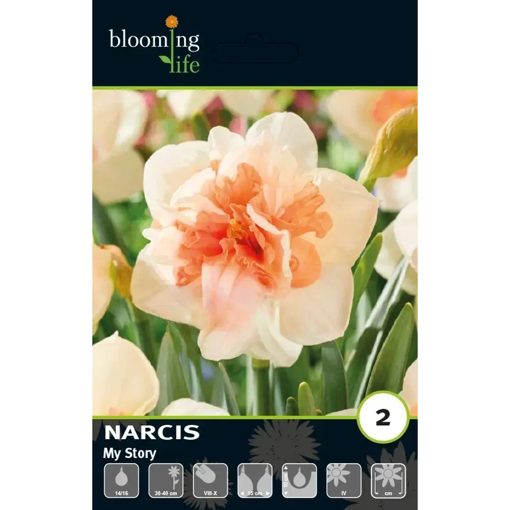 Луковицы нарцисса махрового Май Стори 14/16 89433010 Santreyd STLM-1584164