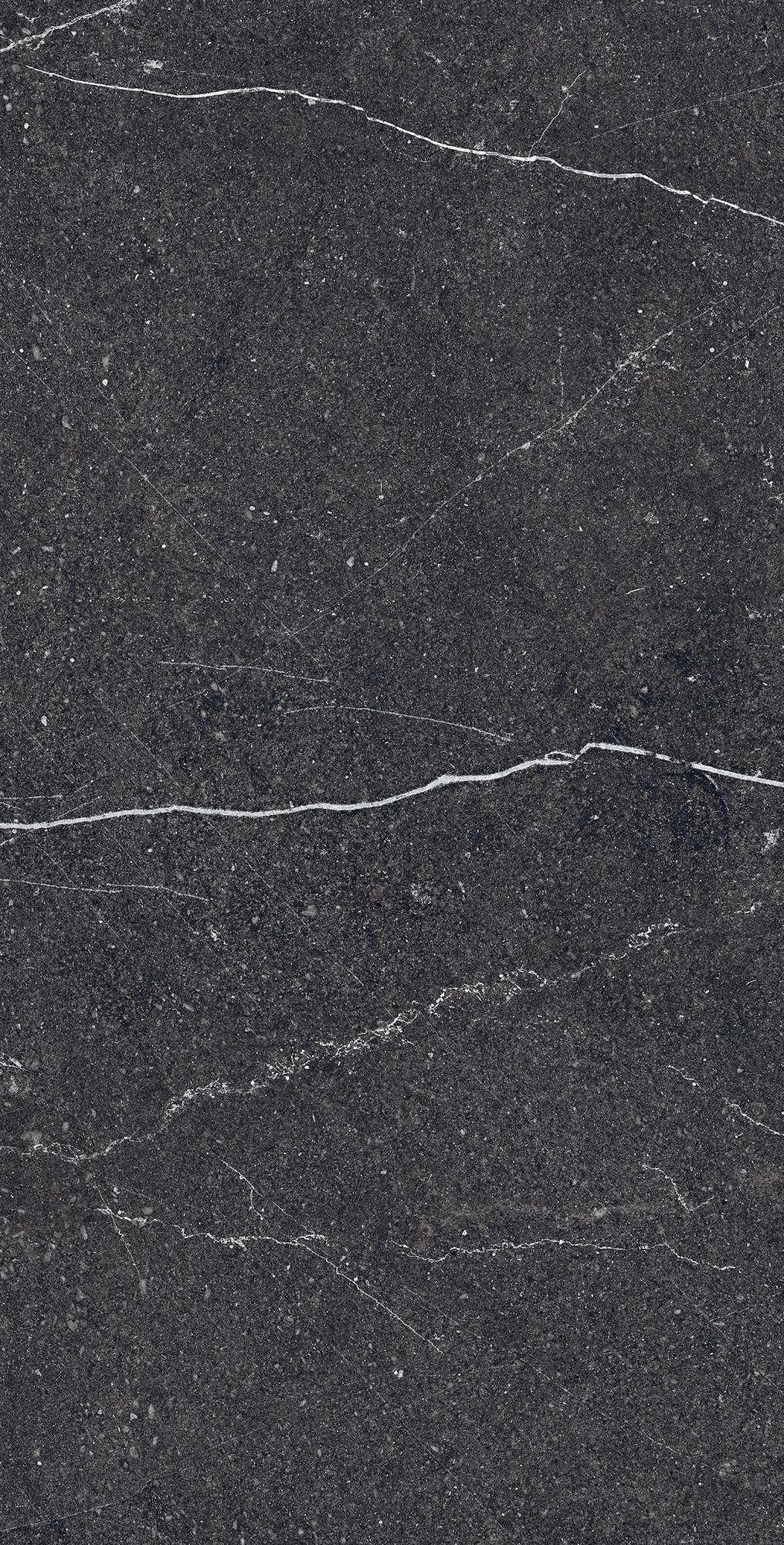 Графитовая элегантность EQUISTONE CHARCOAL RG6003-A Arcadia Ceramica - Вид №5