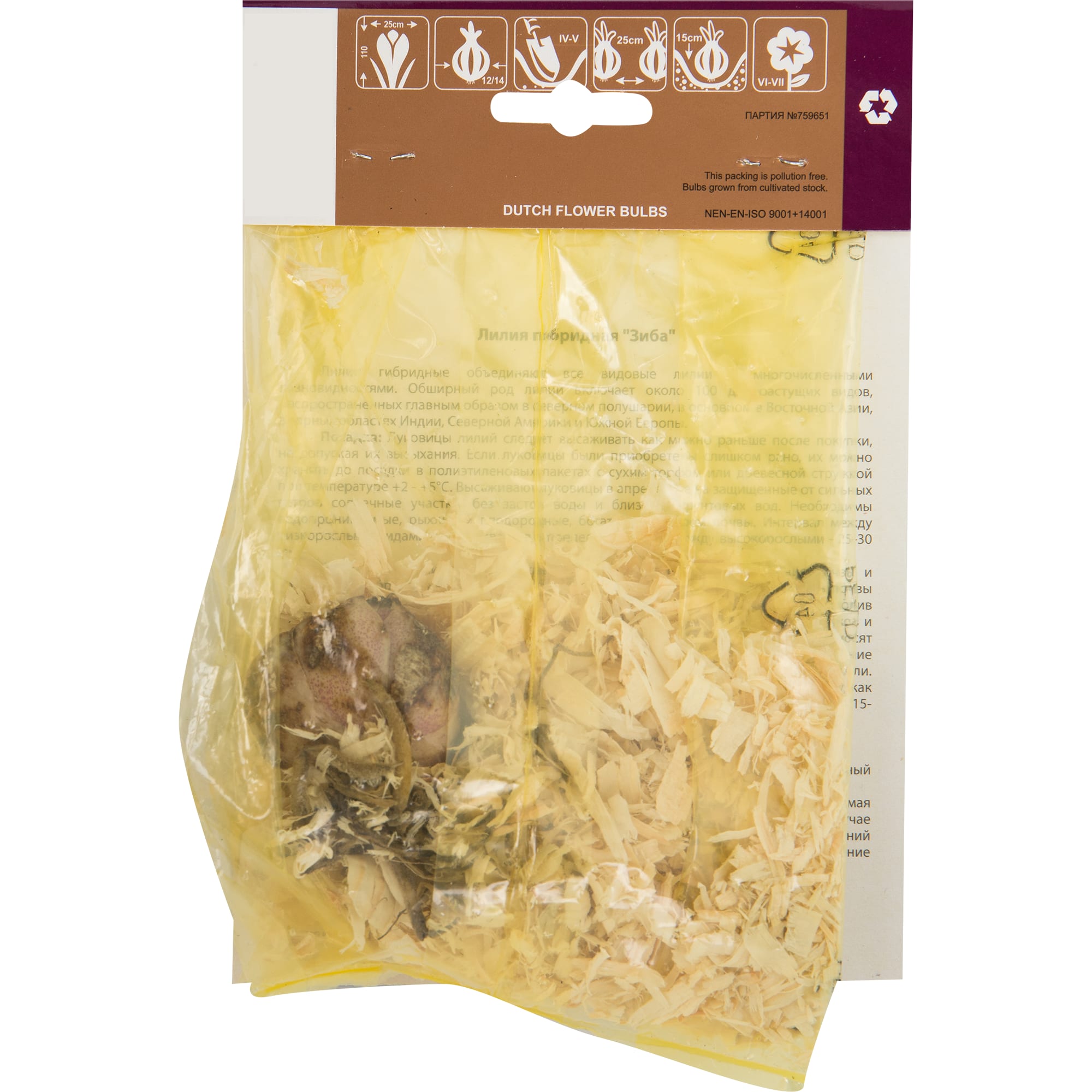 82539378 Лилия Зиба Santreyd  - Вид №1