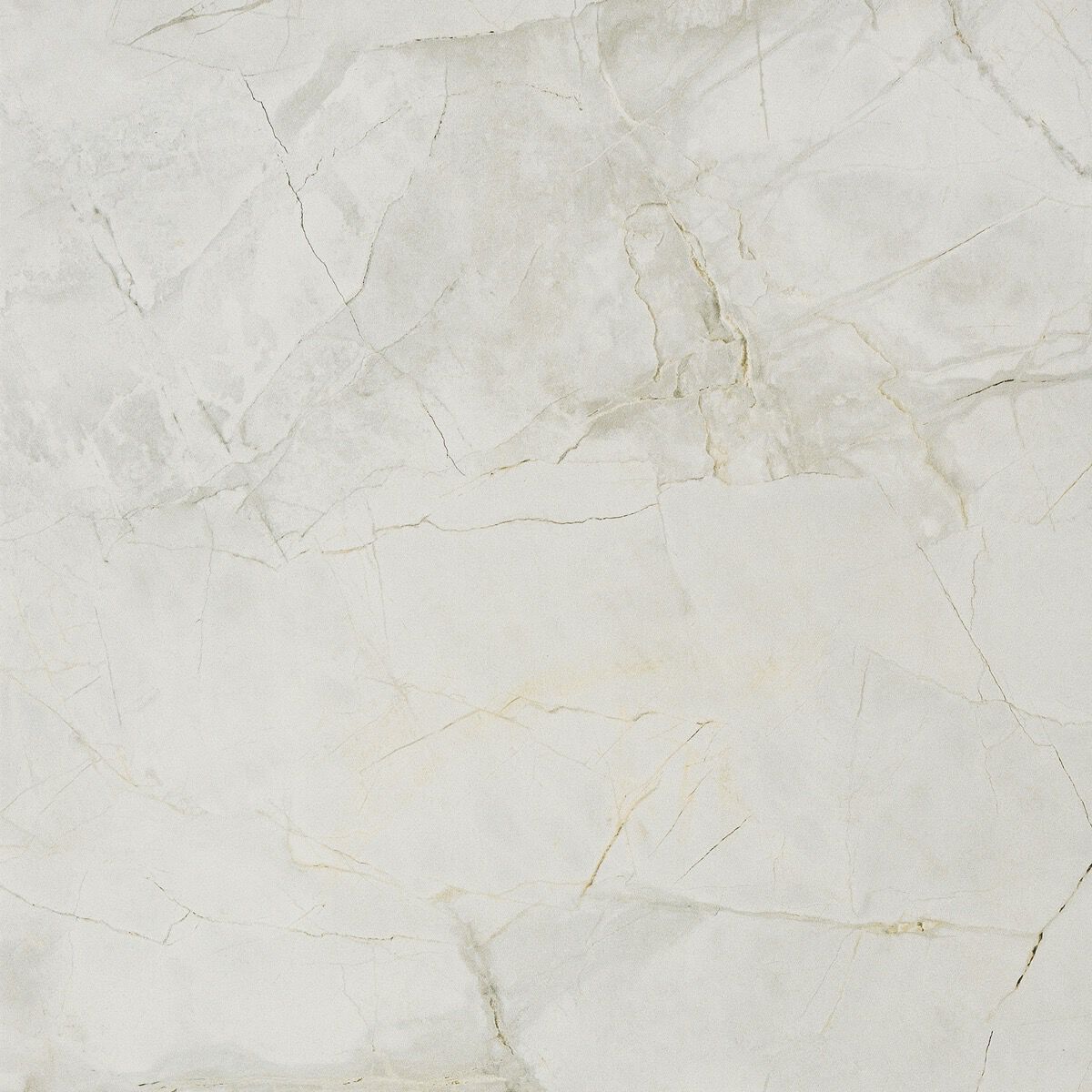 Пол / керамогранит с мраморным эффектом RECER Griseo ARCH-00071907 - Вид №3