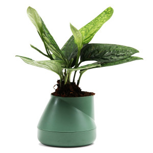 QLX20001-GN Горшок цветочный hill pot, маленький, зеленый Qualy