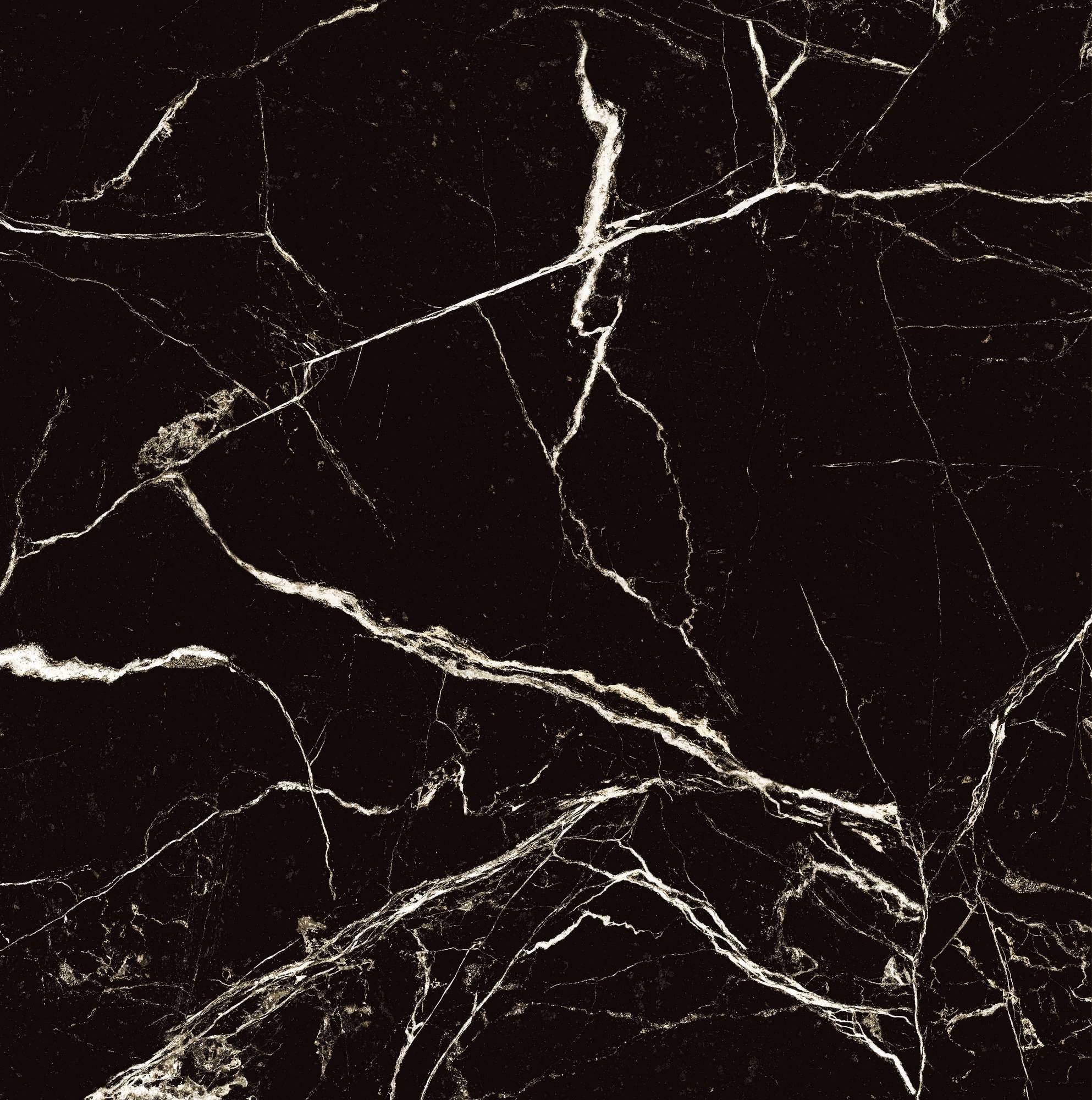 BLACK SPINDER — Элегантность черного мрамора HG2008-A Arcadia Ceramica - Вид №5