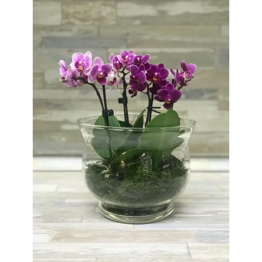 Santreyd Ваза 'Бейли 2' - прозрачная стеклянная для цветочных композиций 82223414 STLM-0022294 - Вид №2