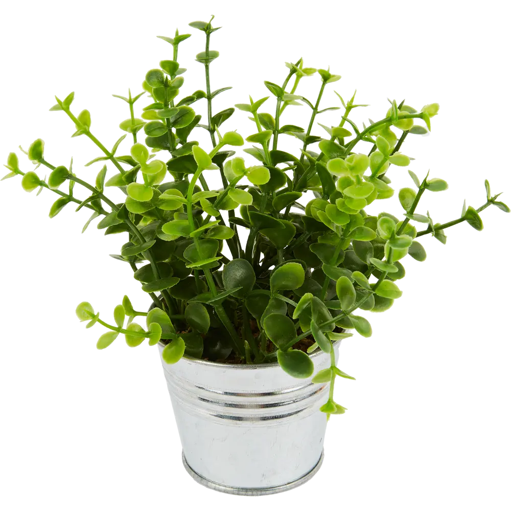 Искусственное растение в металлическом горшке 114754 ø16 h15 см Santreyd STLM-2173474 - Вид №5