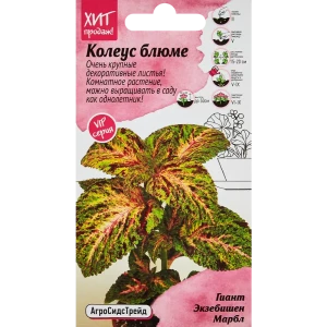 Семена цветов Агросидстрейд колеус Блюме Гиант Экзеб Марбл