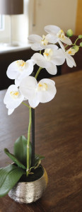 2761 778 a3 Пластиковая орхидея Phalaenopsis, горшечная, 45 см, real touch soft, бежево-белая H-andreas