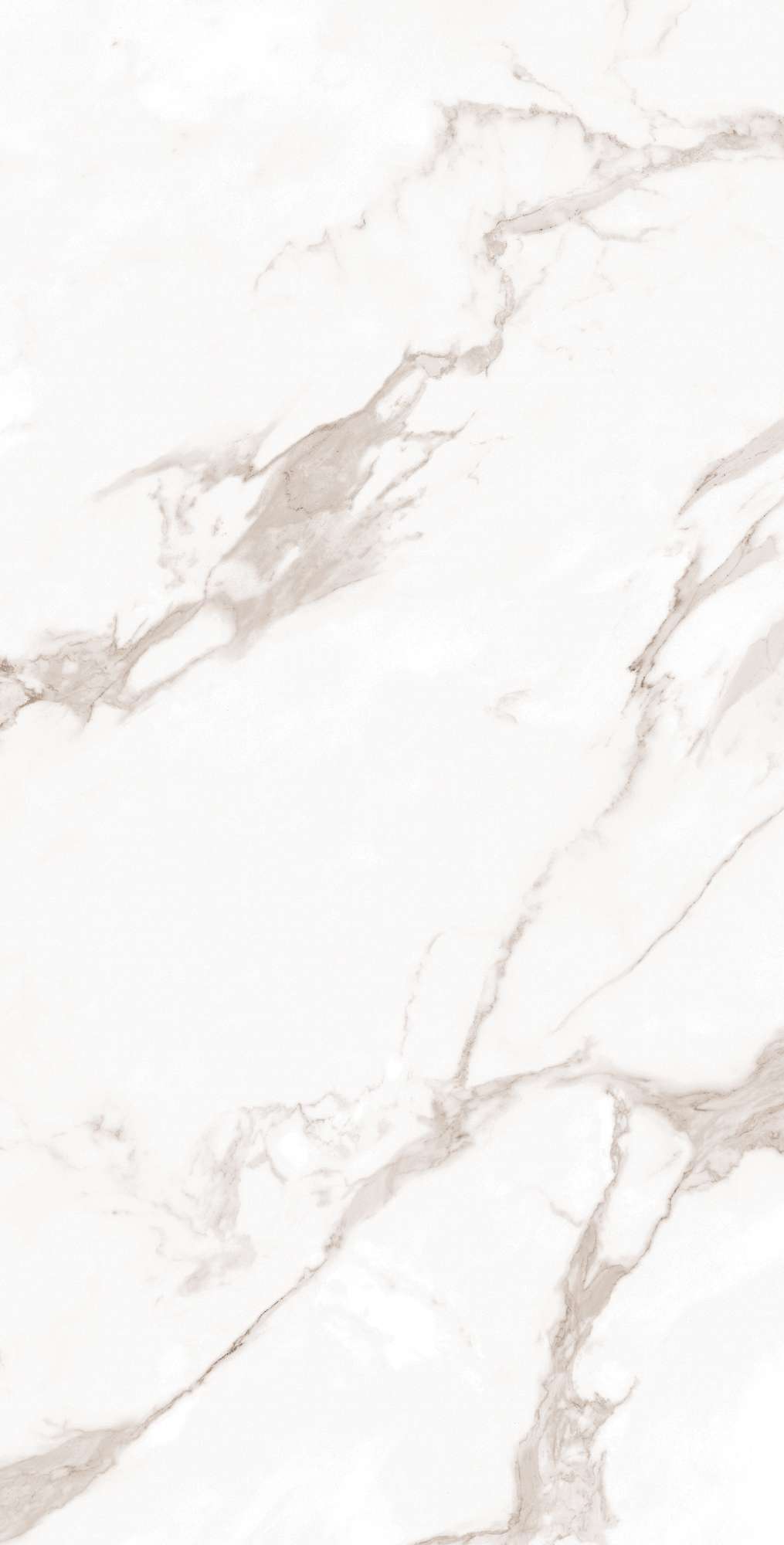 Керамогранит CALACATTA BIANCO 60х120 Arcadia Ceramica FP1019-A - Вид №6