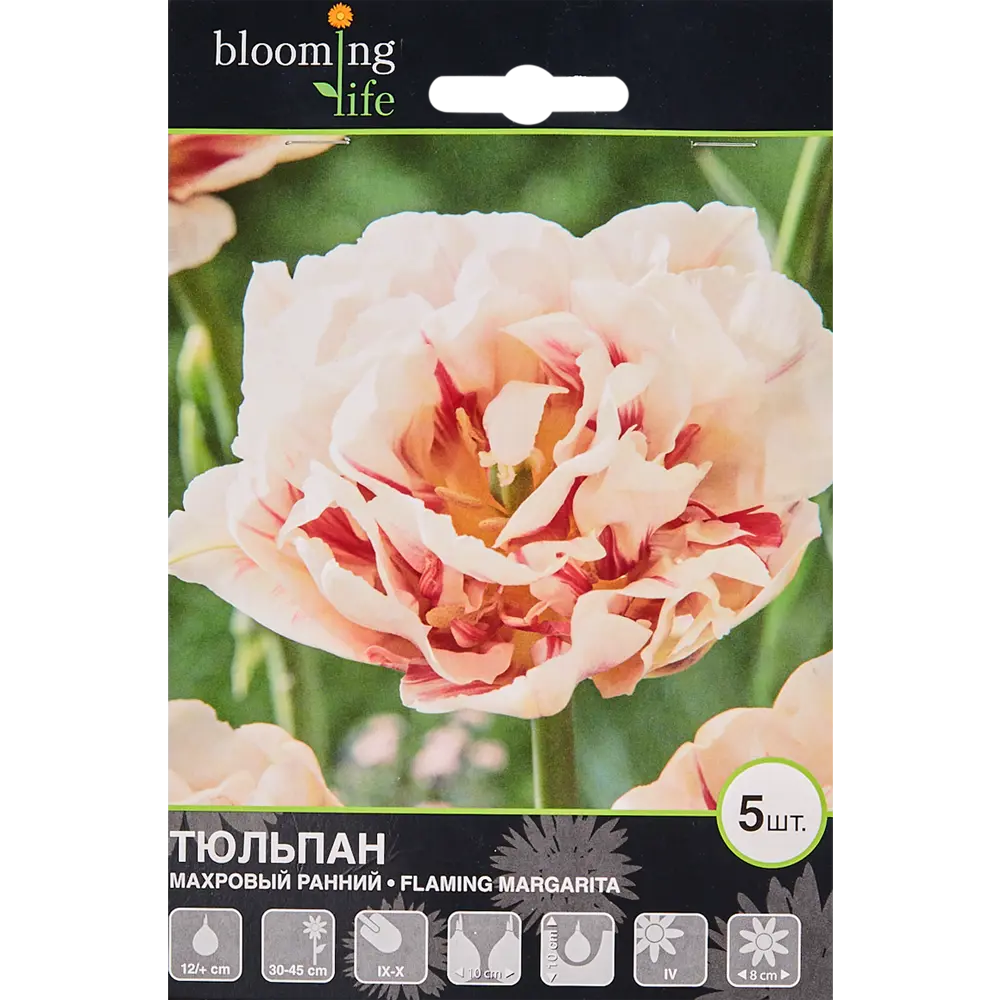 Тюльпан «Флеминг Маргарита» размер луковицы 12, 5 шт BLOOMING LIFE STLM-2070974