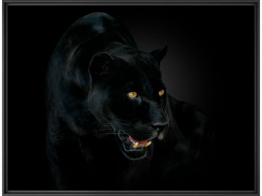 Печать фотографий на бумаге YellowKorner животное ARCH-00022559