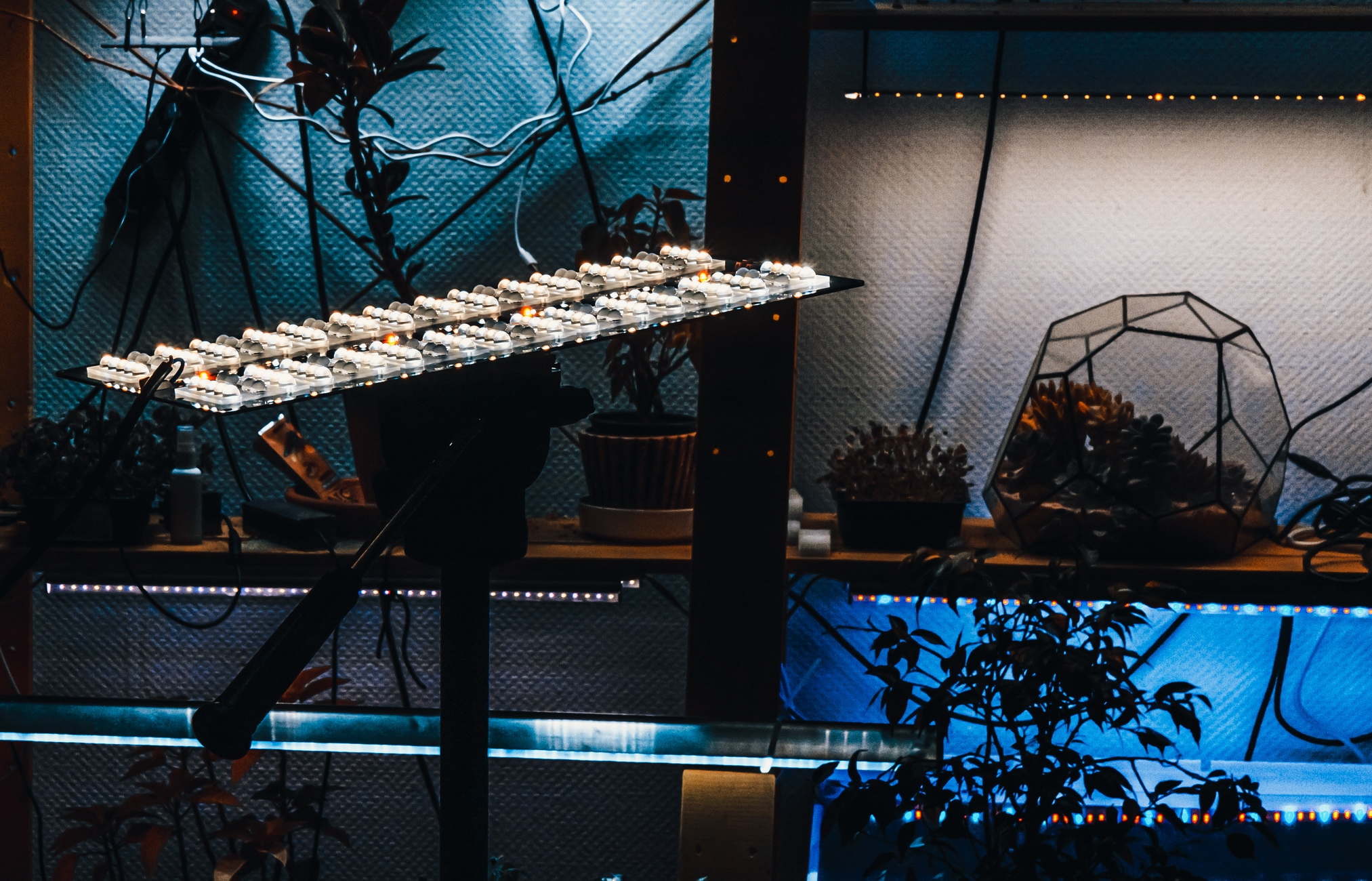 1739 Комплект линз 14шт для Quantum board ver3 60Вт LAB.Space  - Вид №27