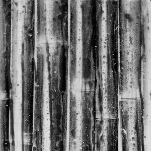 Арт-панель на холсте Alex Turco Organic Bamboo In Silver