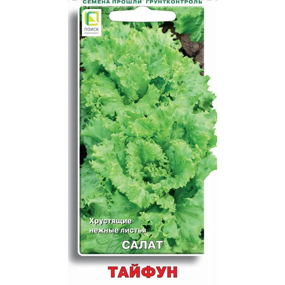 Семена салата Тайфун ПОИСК - для свежего урожая 89401149 STLM-1568030