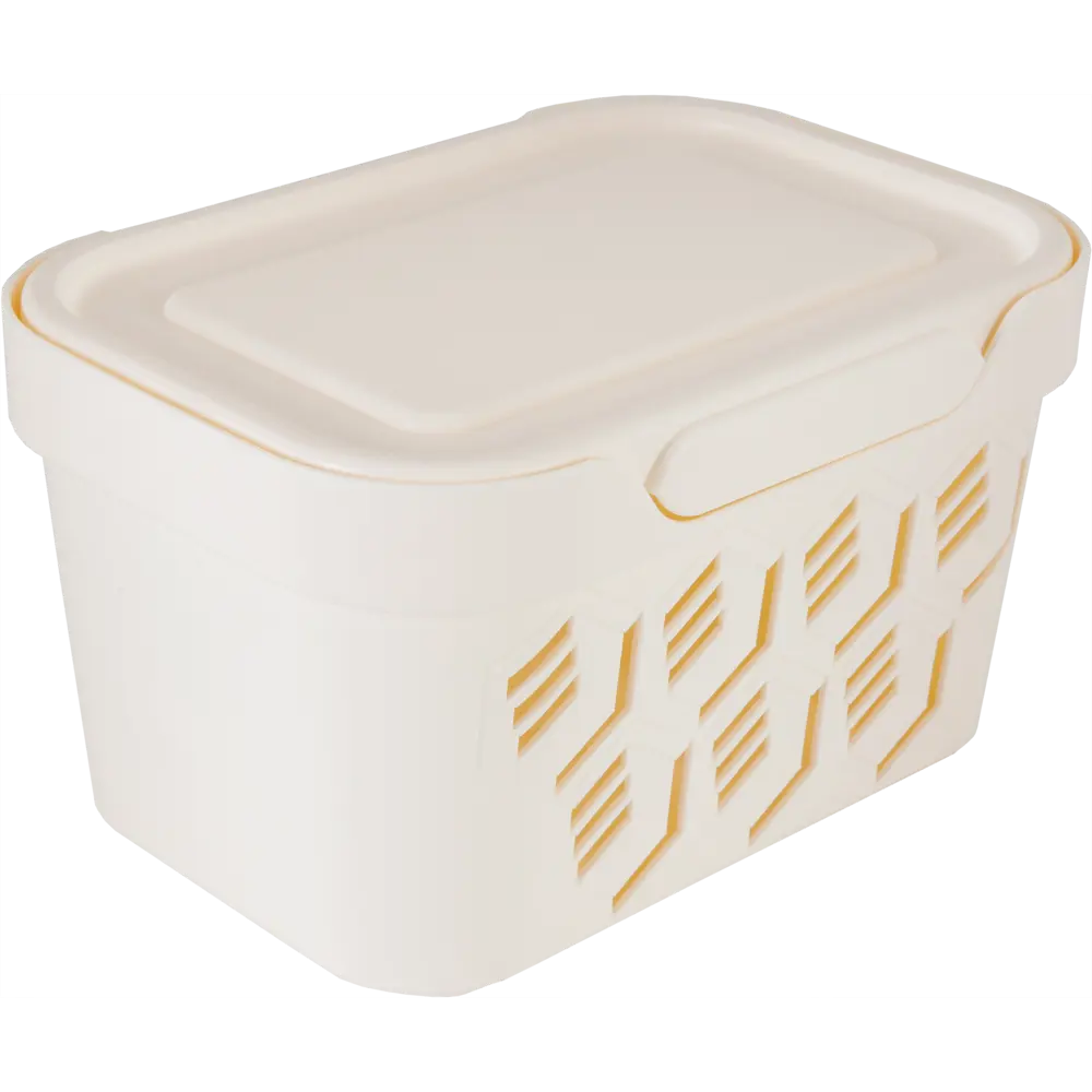 Ящик Deluxe с крышкой 19x13x11 см 1.9 л пластик цвет бежевый БЫТПЛАСТ STLM-2158011 - Вид №1