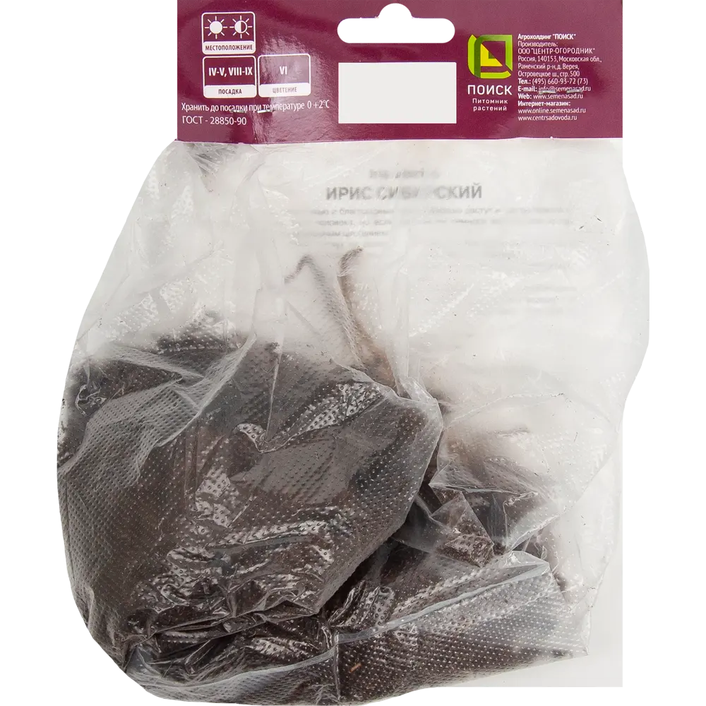 Ирис сибирский Тамбл Баг ПОИСК STLM-2089456 - Вид №1