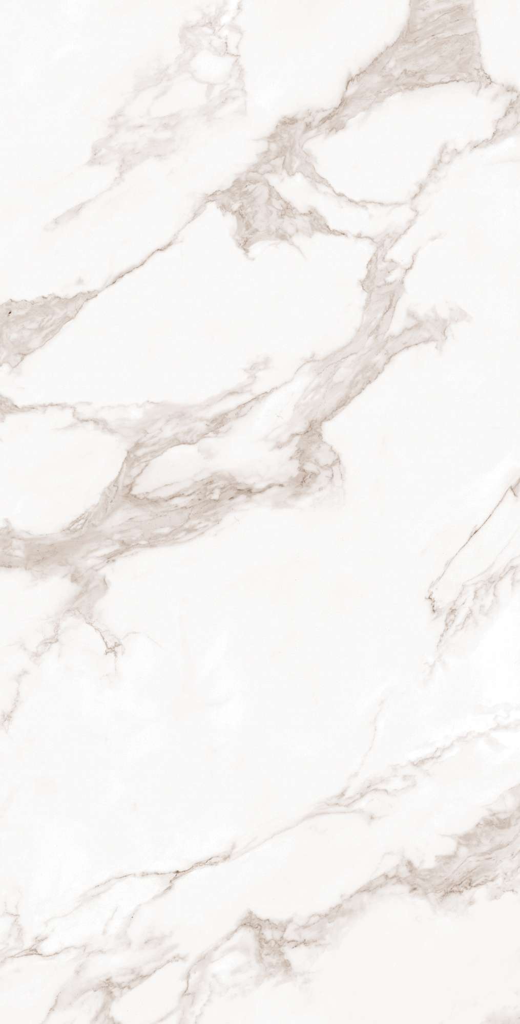 Керамогранит CALACATTA BIANCO 60х120 Arcadia Ceramica FP1019-A - Вид №4
