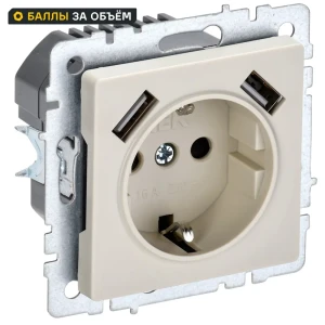 Розетка USB встраиваемая IEK Brite РЮш10-2-БрКр с заземлением цвет бежевый 87761506 STLM-2035676