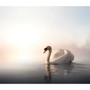 Фотообои «Грация», флизелиновые, 300x260 см, W514007