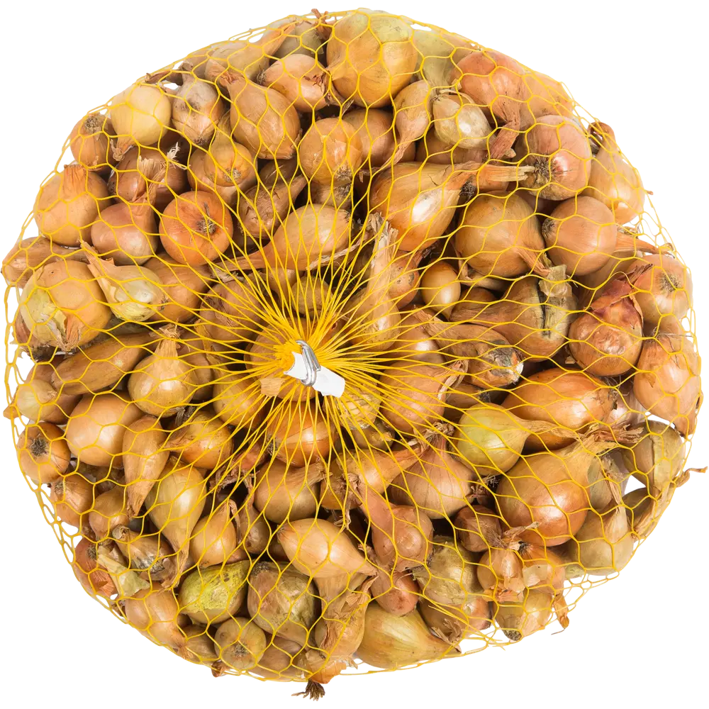 Лук-севок Штуттгартер 0.45 кг Santreyd STLM-2095278 - Вид №1