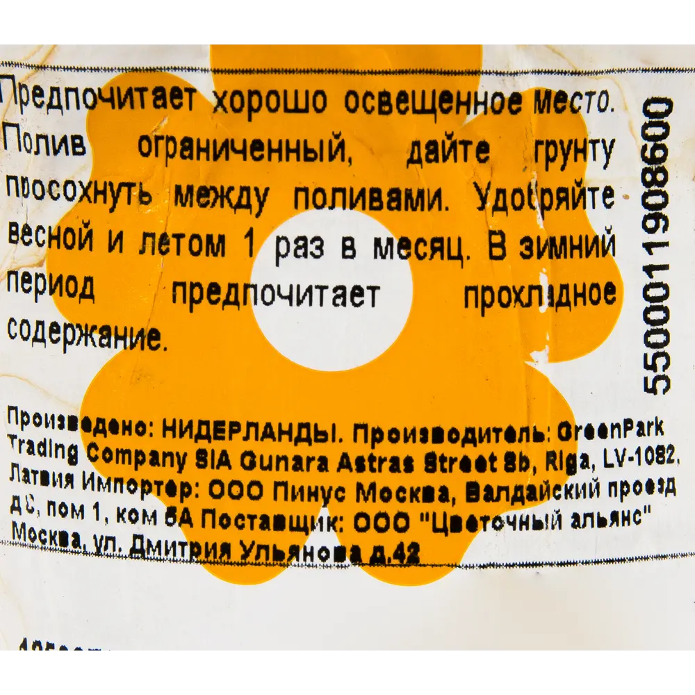 Кактус микс 8.5х20 см 12500766 STLM-2100413 Santreyd  - Вид №2