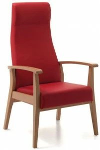 PIAVAL Кожаное кресло с высокой спинкой Aero | health & care 52-63/3