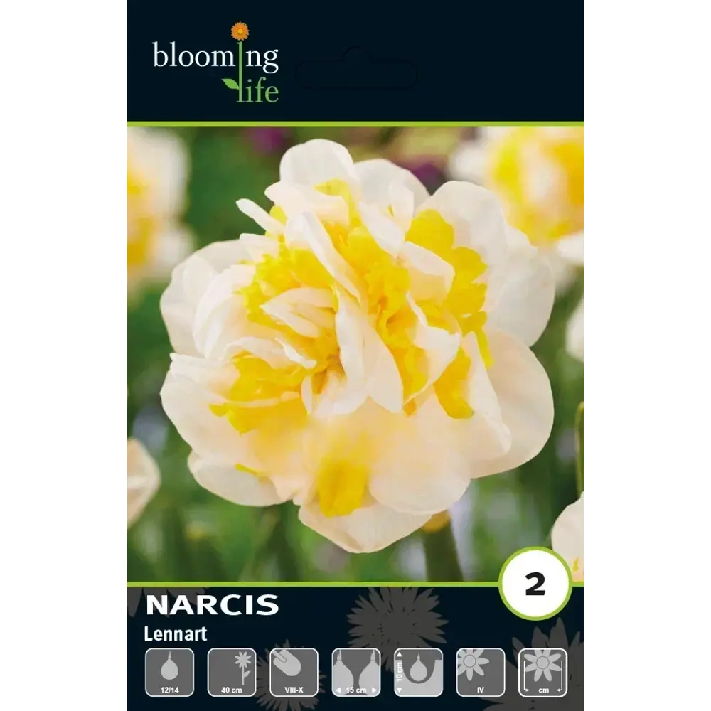 Луковицы нарцисса махрового Леннарт 12/14 для сада 89432921 Santreyd STLM-1579710