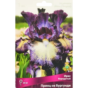 Ирис бородатый Принц Ов Бургунди