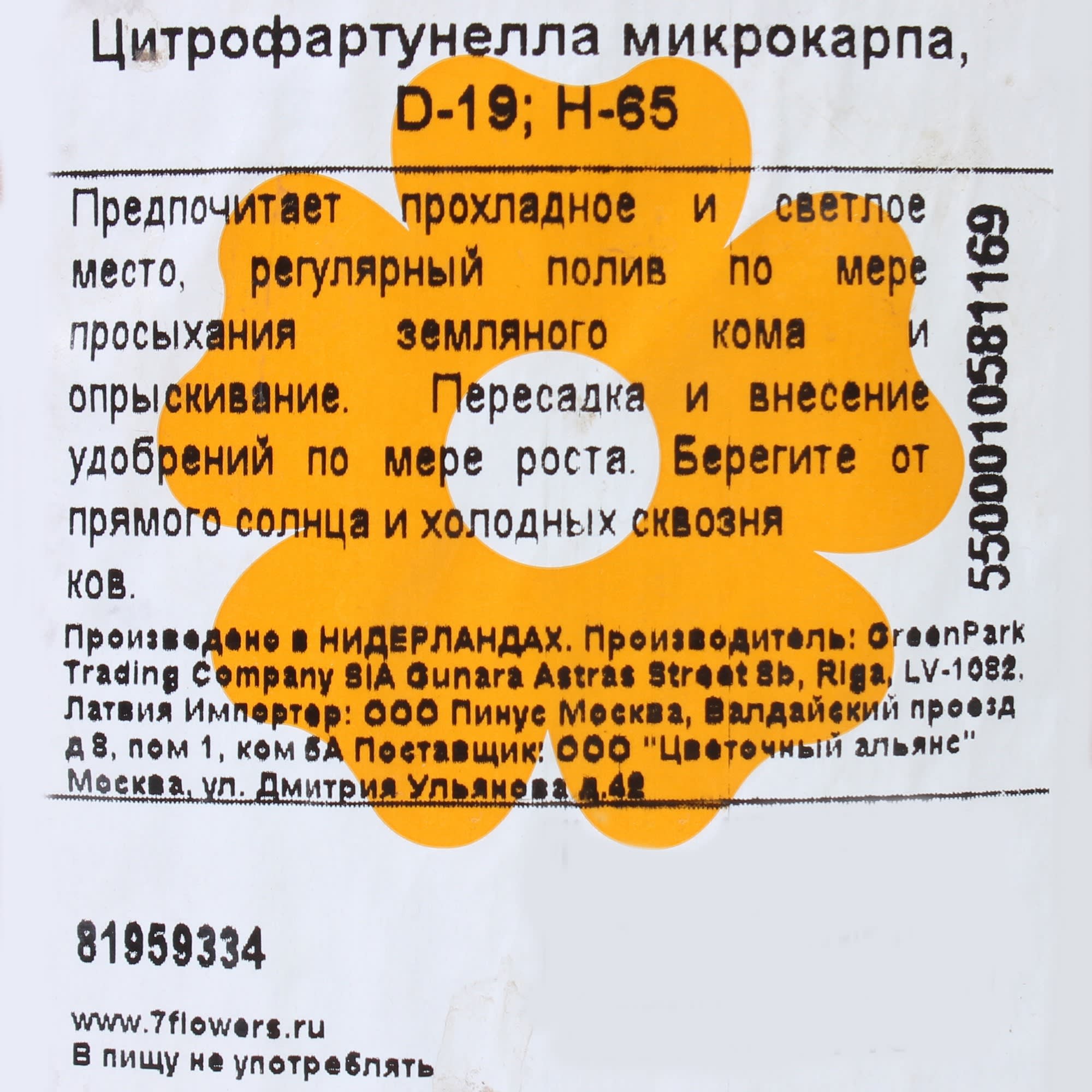 81959334 Цитрофартунелла «Микрокарпа» Santreyd  - Вид №1