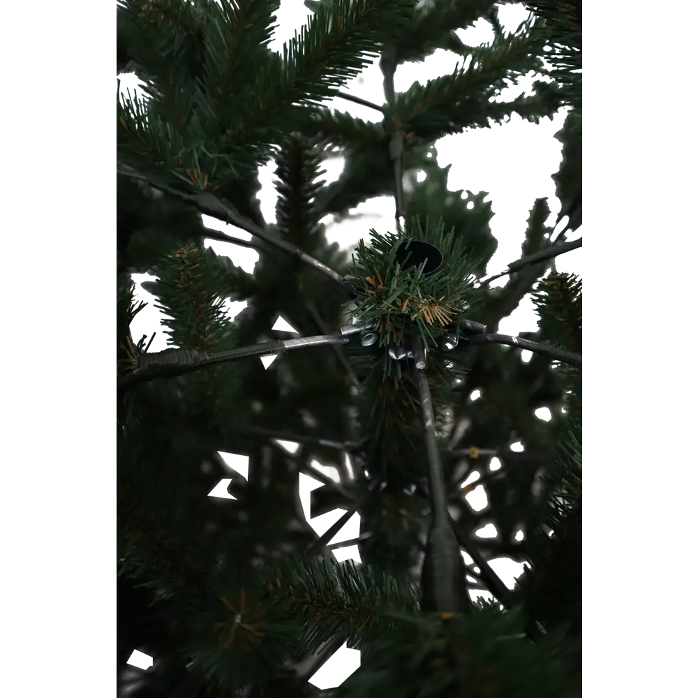 88580116 Ель Итальянская зонтик 184 см STLM-1529012 НОВАЯ ЁЛКА  - Вид №6