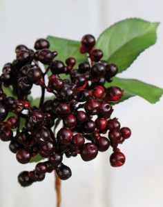 1551 492 a3 Искусственные ягоды на палочке, 30 см, бордово-черные H-andreas