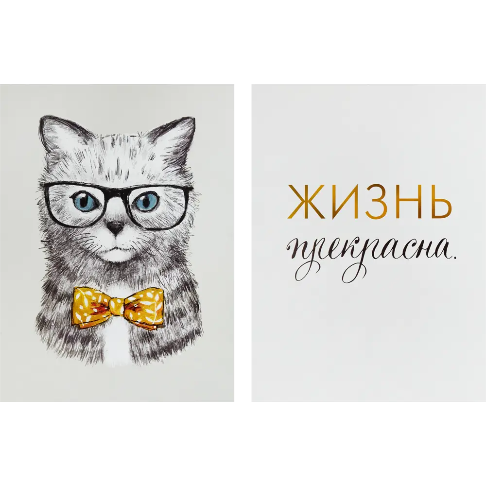 Постер Арт дизайн Коту виднее 30x40 см 2 шт. 84505632 STLM-2160418 