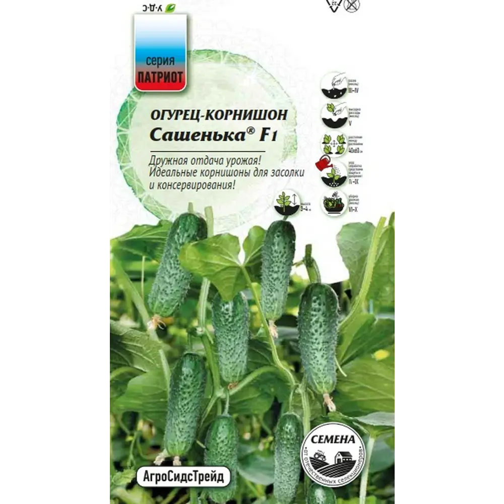 Семена овощей Агросидстрейд Патриот огурец корнишон Сашенька F1 STLM-2168066 - Вид №2