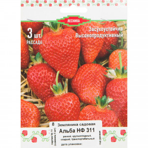 82528931 Земляника традиционная ранняя 3 шт.