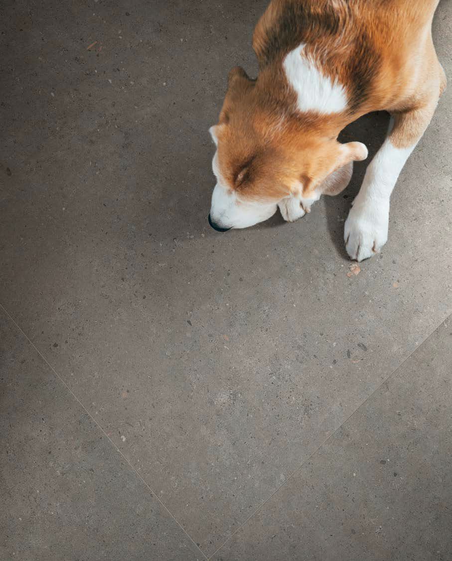 Пол / облицовка керамогранита с эффектом камня Pastorelli BIOPHILIC ARCH-00008659 - Вид №6