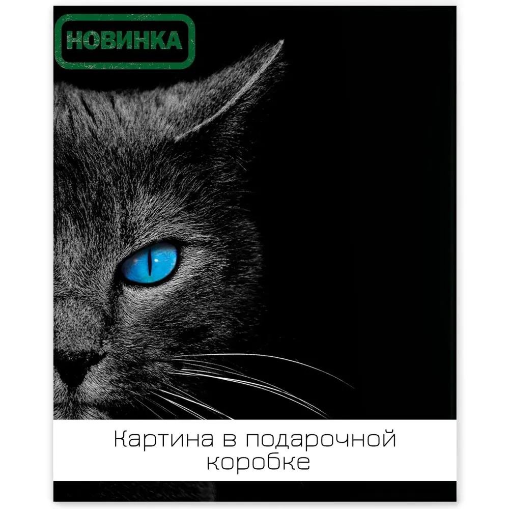 Картина на холсте Ночная кошка 40x50 см 85394548 STLM-2051417 FBRUSH 