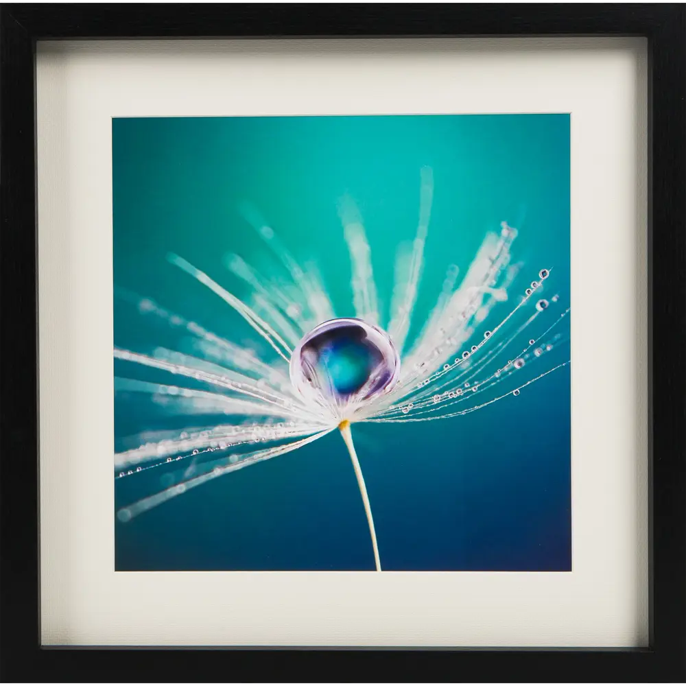 Картина в раме «Капля росы» 35x35 см Santreyd STLM-2016134