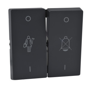 MTN435614 Клавиша двойная , антрацит Schneider Electric Merten System M