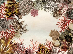 YO2 Прямоугольный ковер с рисунком Coral loss