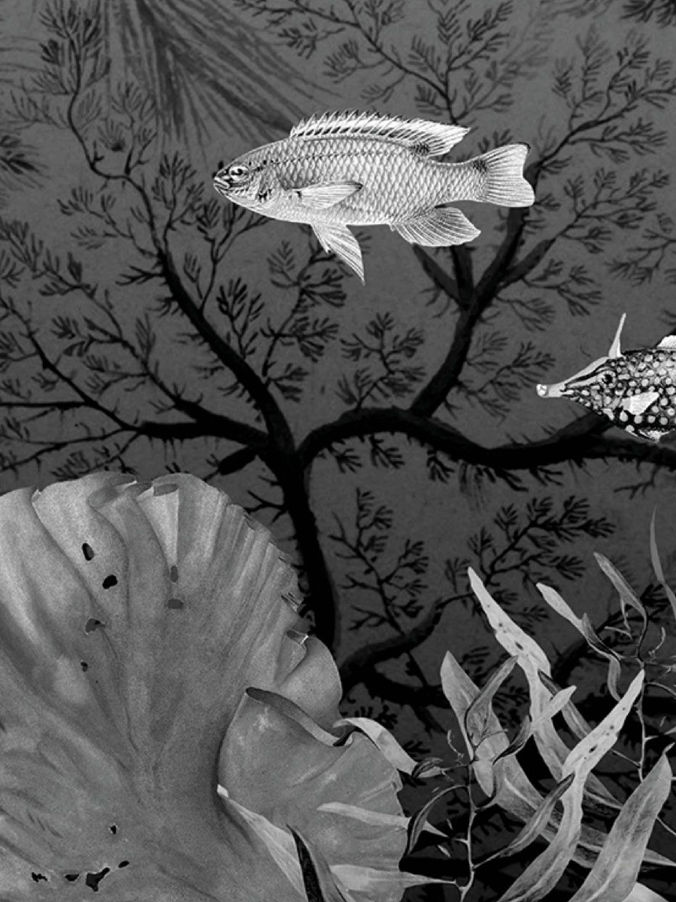 Виниловые обои Devon&Devon ARCH-00072305 - Вид №1