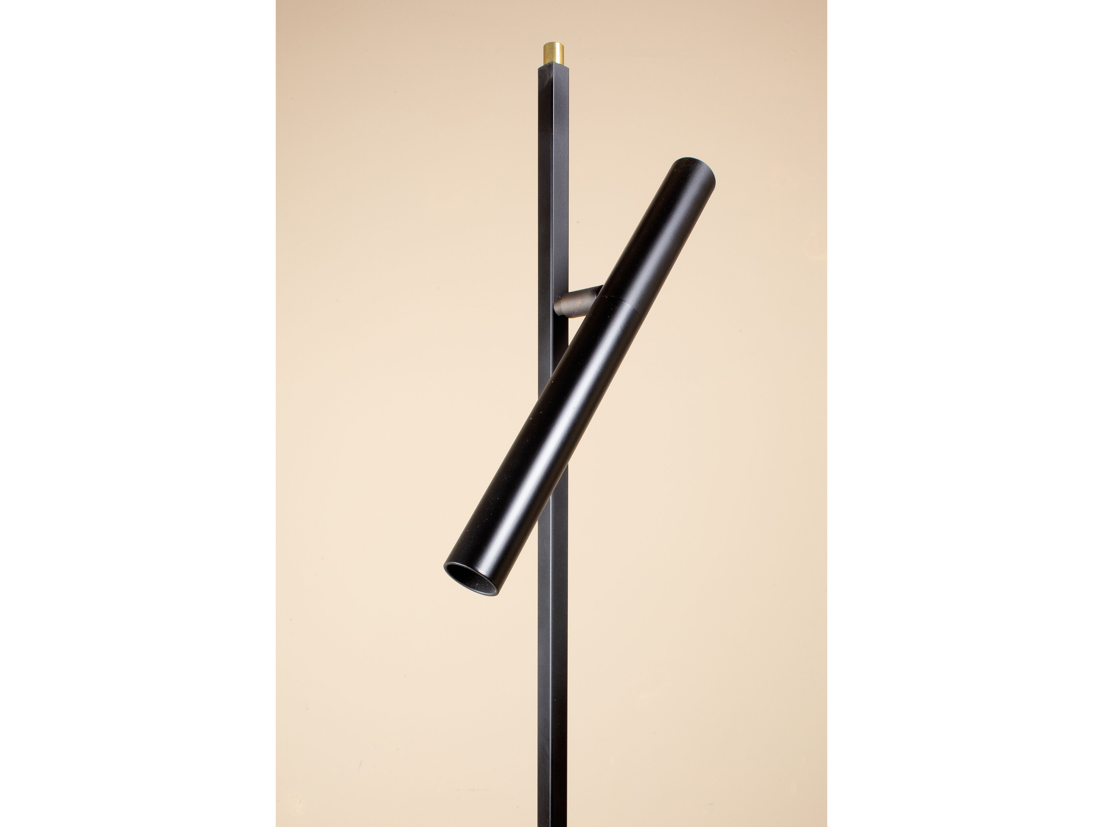 Регулируемый светодиодный торшер Renzo Serafini точка зрения ARCH-00092337 - Вид №1