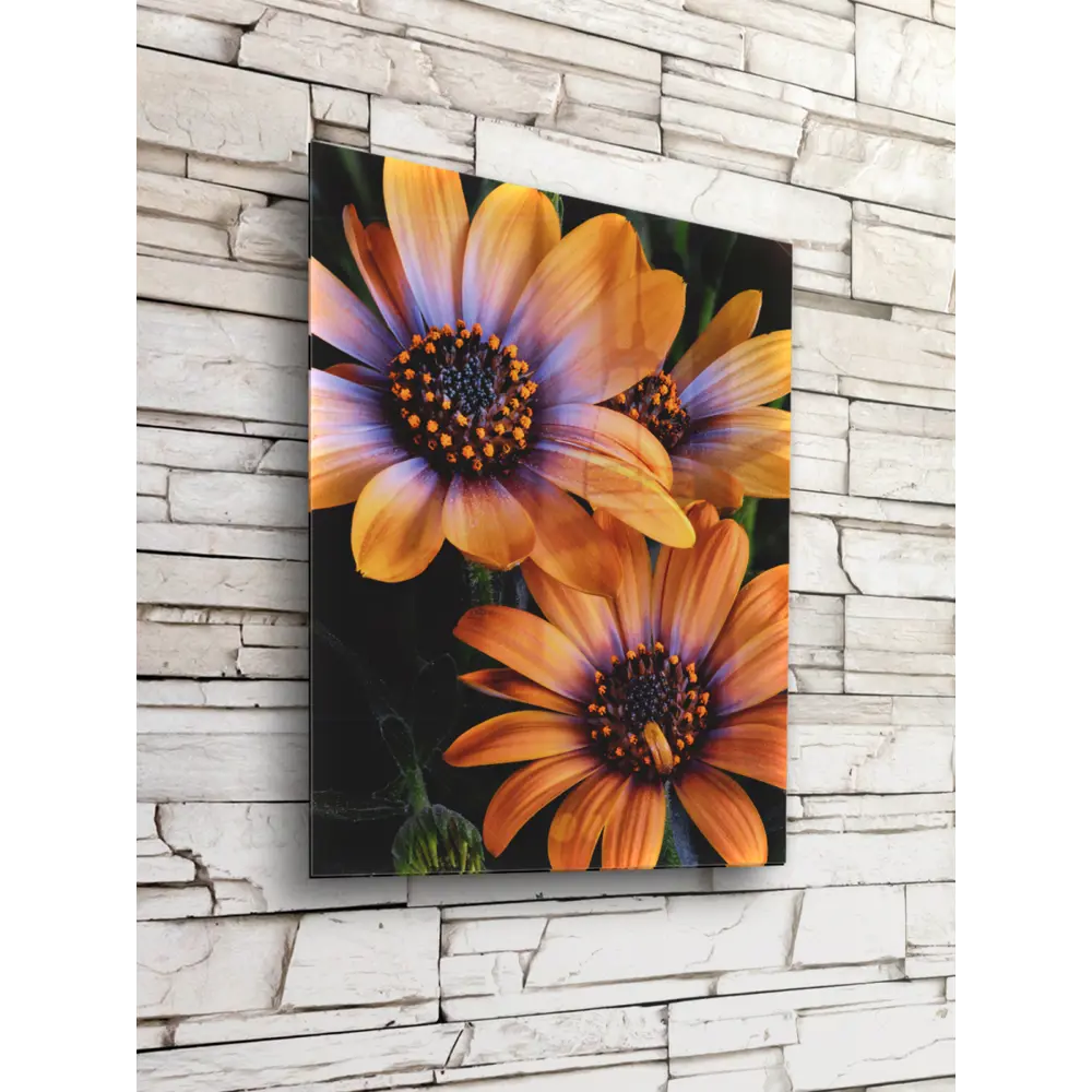 Картина на стекле Ромашки 40x50 см POSTERMARKET STLM-2123255 - Вид №4