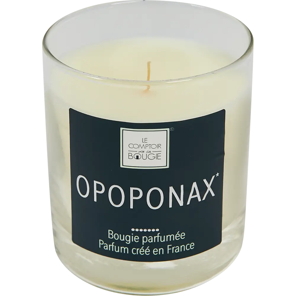 Свеча ароматизированная в стакане Опопонакса прозрачная 9.5 см Atmosphera STLM-2148422 - Вид №1